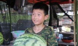 免费吃瓜张天宇,揭秘娱乐圈幕后故事